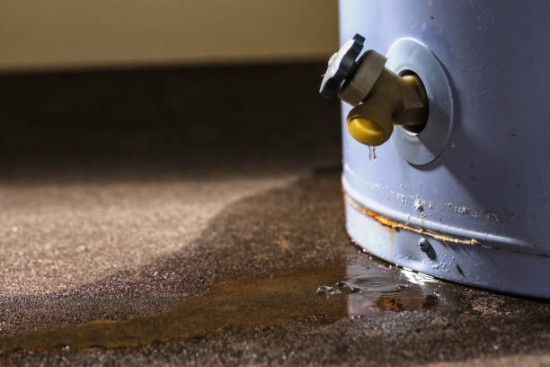 Best Sewage cleanup and water damage restoration  in Arkwright, SC