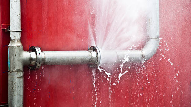 Best Flood restoration services  in Arkwright, SC