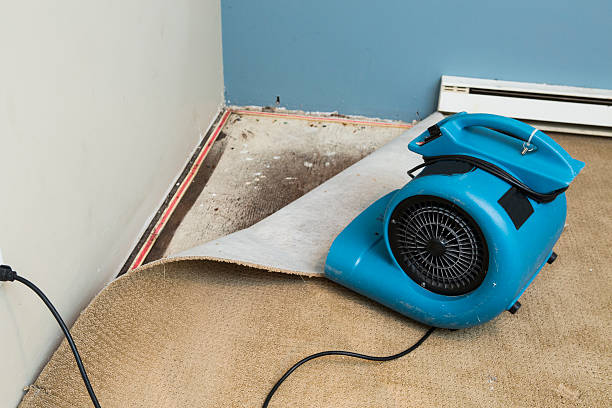 Best Water damage mitigation services  in Arkwright, SC